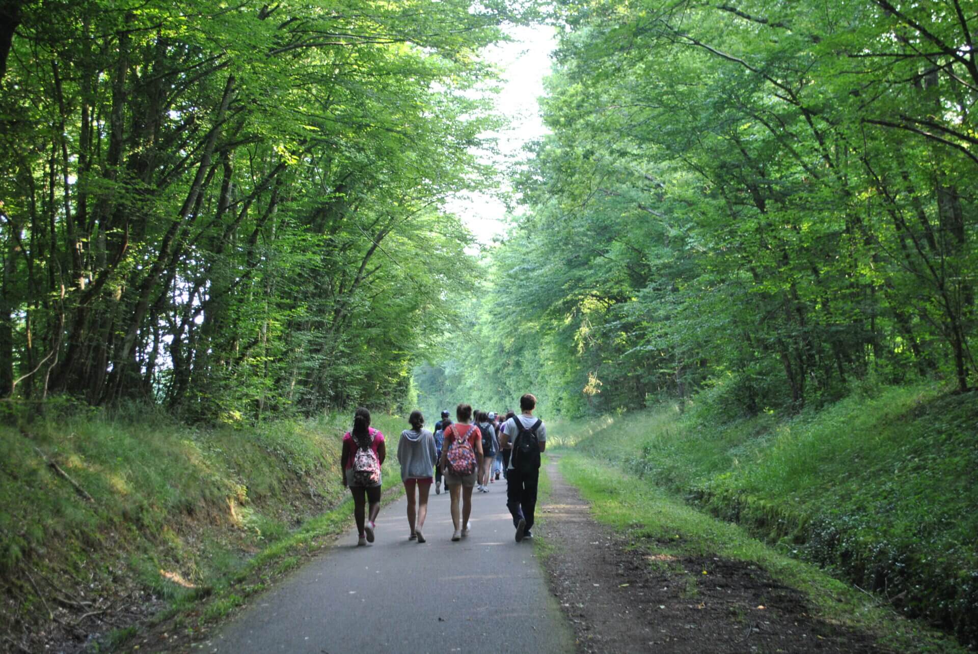Group of people walking on the road in between the trees