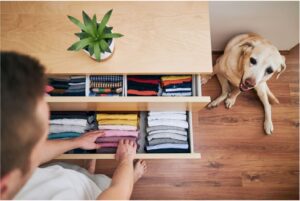 Photo of a woman keep the house in order