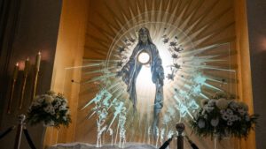 The Immaculate Conception of the Blessed Virgin Mary