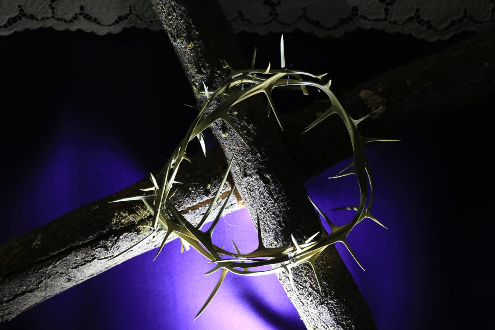 Closeup shot of the branches lent cross