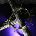 A Closeup shot of the lent cross branches