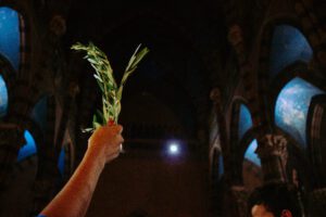 A person hand holding a stem with green leaves