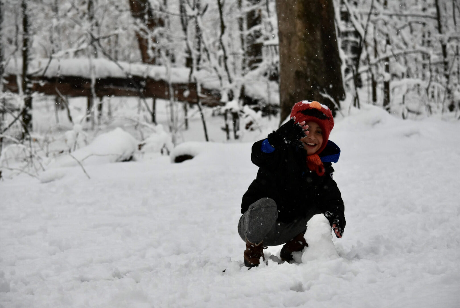 Winter joy and happiness by Susana Saldivar courtesy of Cathopic